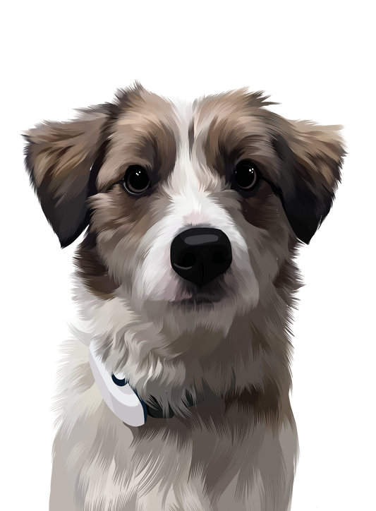 Modern Pet Potrait ( Digital File )